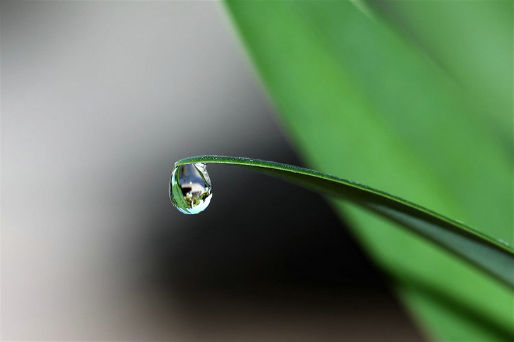 多參數水質檢測儀 多參數水質檢測儀